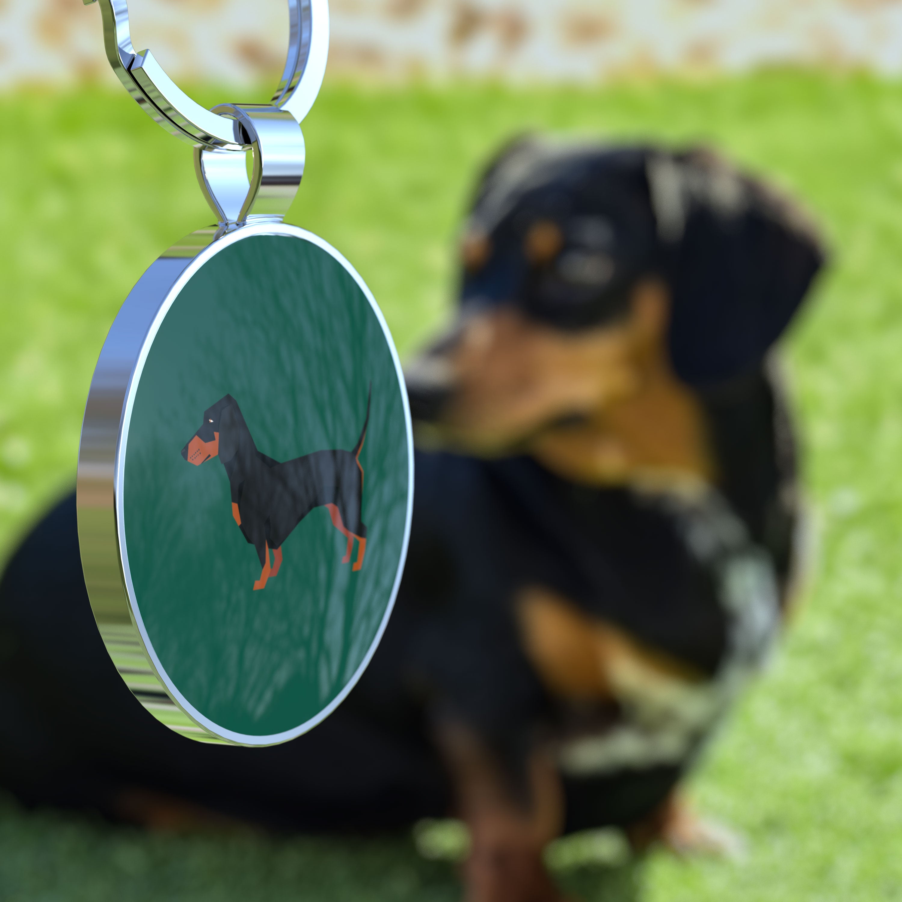 QR code pet tag Dog breeds tags-Dachshund