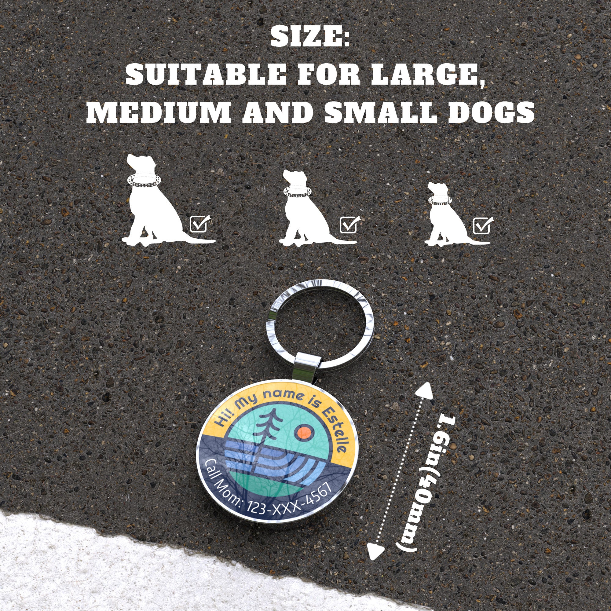 QR code pet tag Adventure tour-NO.160905