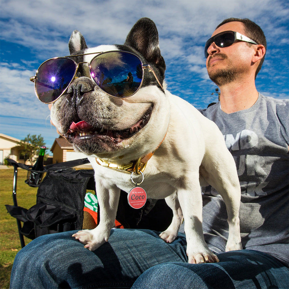 QR code pet tag Colorful text-NO.170907