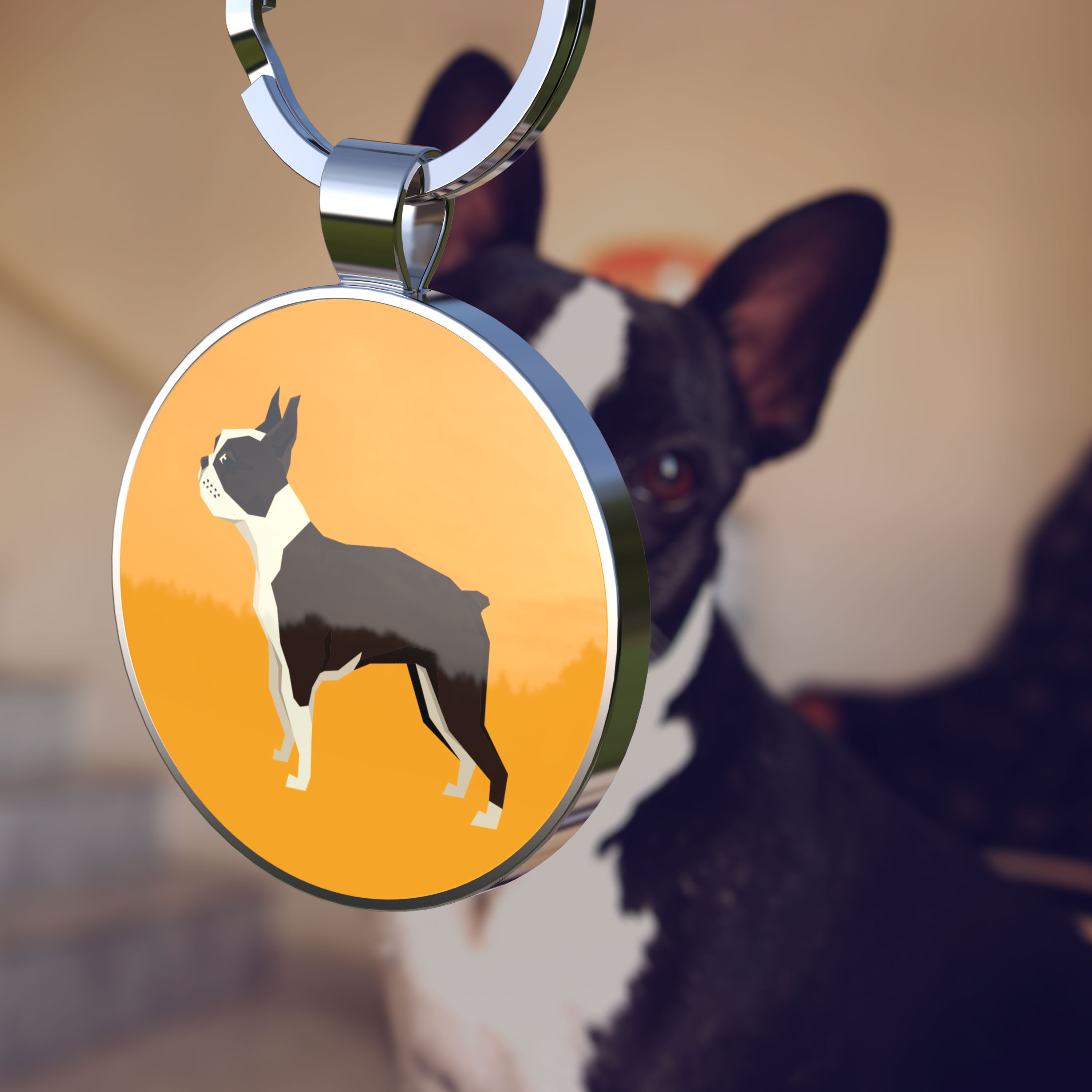 QR code pet tag Dog breeds tags-Boston Terrier