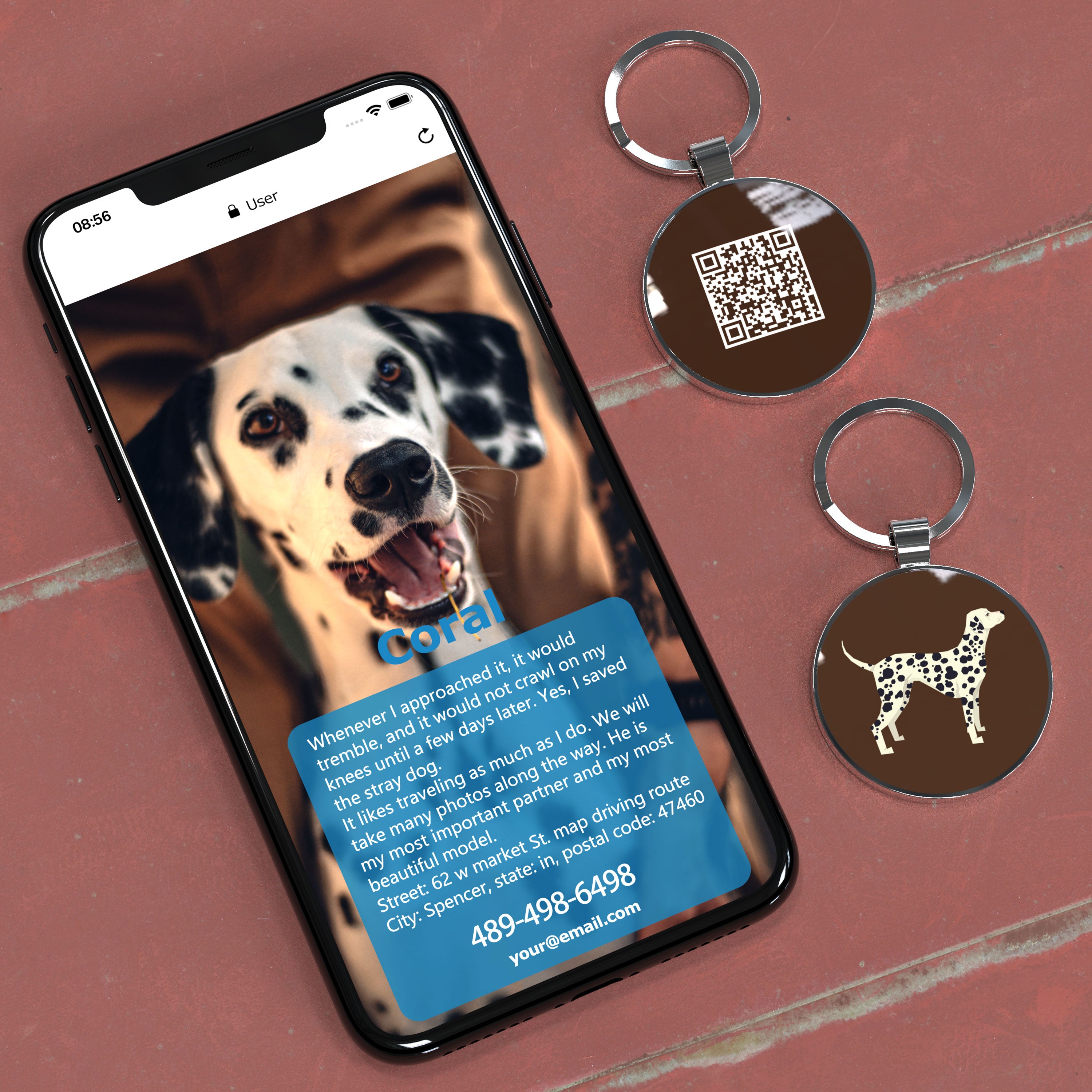 QR code pet tag Dog breeds tags-Dalmatian