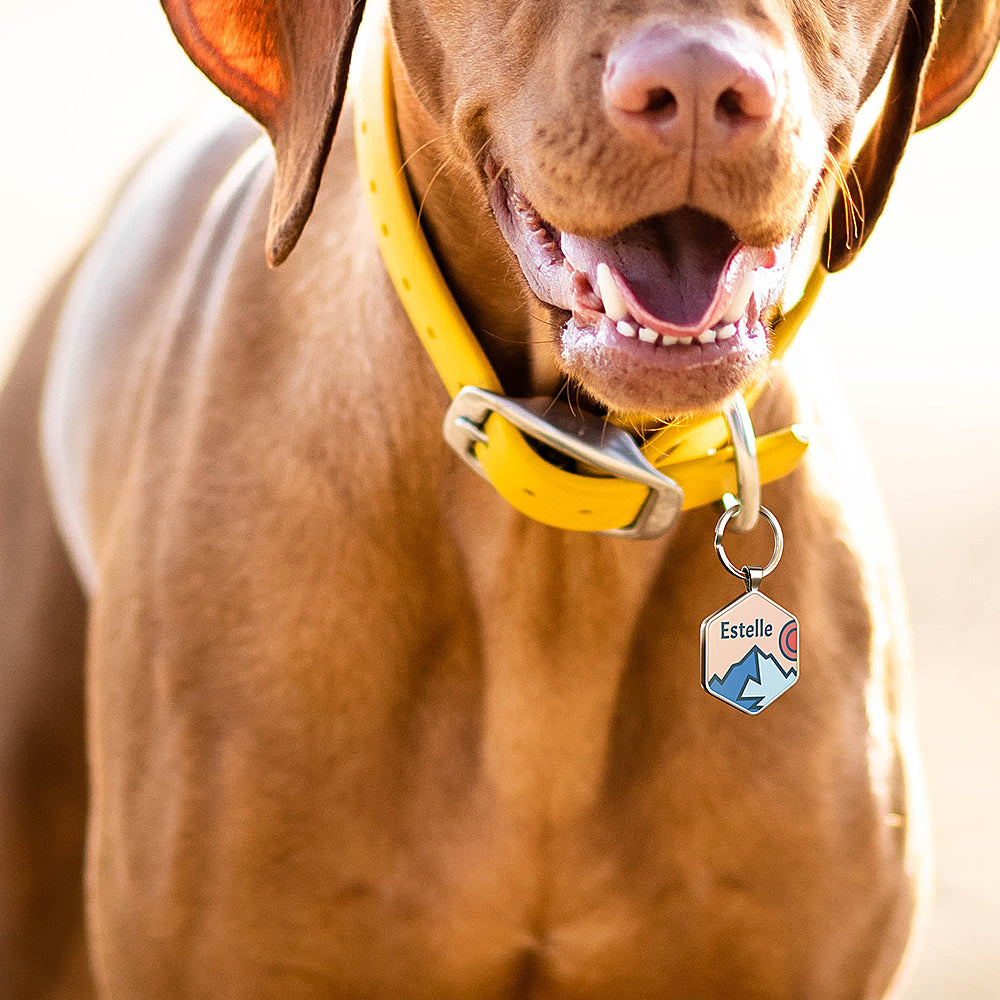 QR code pet tag Adventure tour-NO.160911