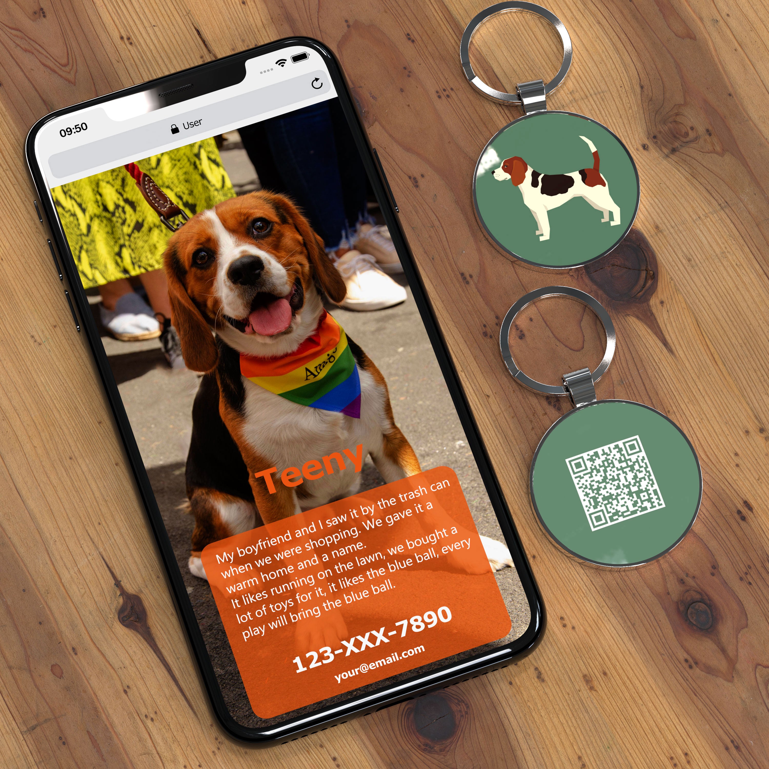 QR code pet tag Dog breeds tags-Beagle
