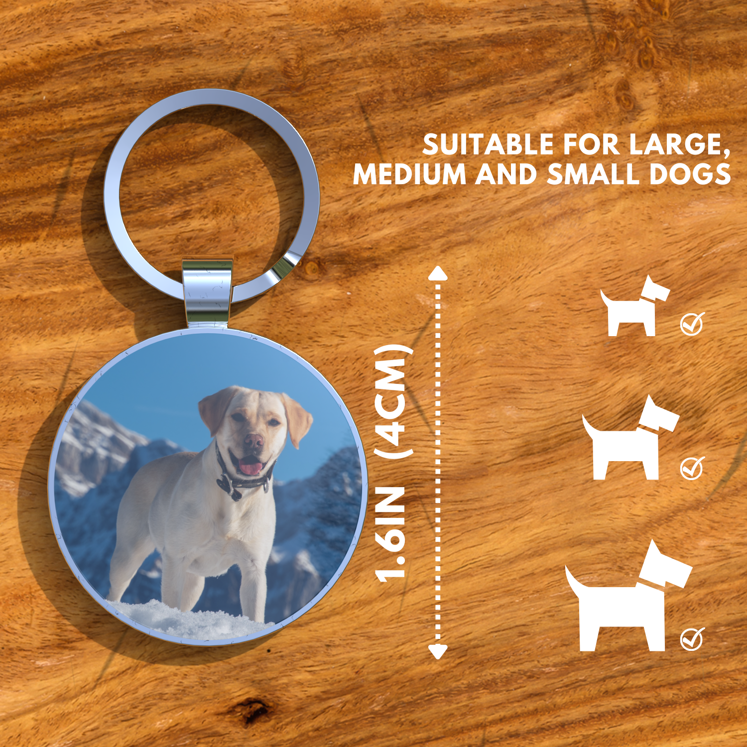 QR code pet tag Any picture-NO.150901